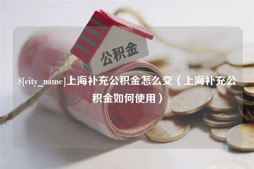 齐河上海补充公积金怎么交（上海补充公积金如何使用）